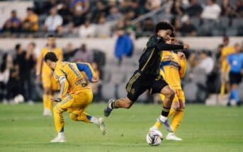 Photo courtesy of LAFC